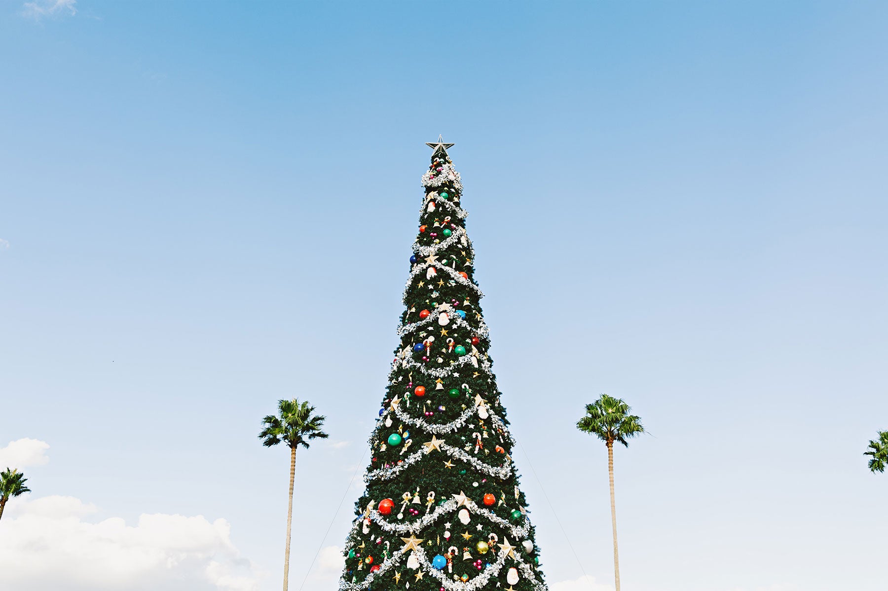 Christmas in July Party Ideas I Fuzzy Babba I The Babba Blog